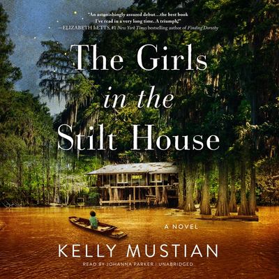 The girls in the stilt house [compact disc, unabridged] : a novel /