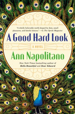 A good hard look [ebook] : A novel.