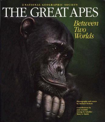 The great apes : between two worlds /