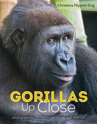 Gorillas up close /