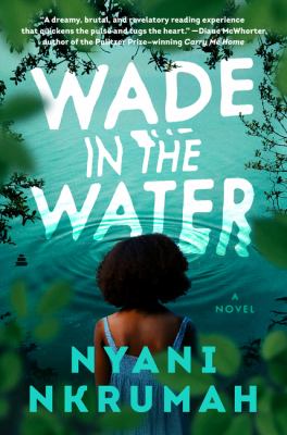 Wade in the water : a novel /
