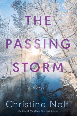 The passing storm : a novel /