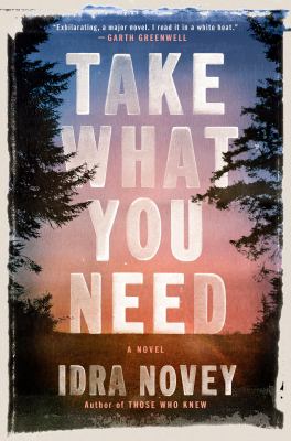 Take what you need : a novel /