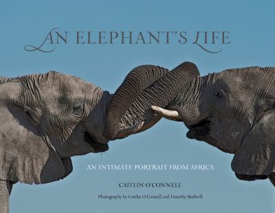 An elephant's life : an intimate portrait from Africa /