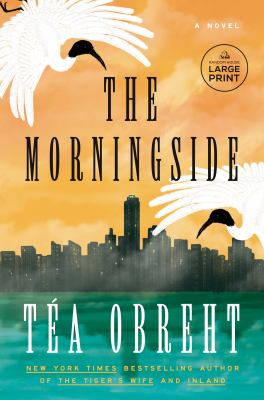 The Morningside : a novel [large type] /