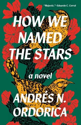 How we named the stars : a novel /