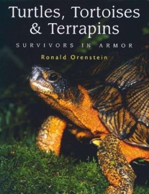 Turtles, tortoises and terrapins : survivors in armor /