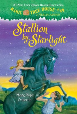 Stallion by starlight /
