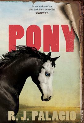 Pony /