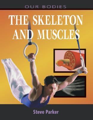The skeleton and muscles /