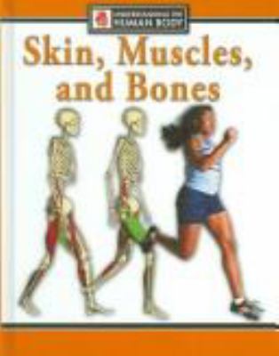 Skin, muscles, and bones /