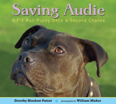 Saving Audie : a pit bull puppy gets a second chance /