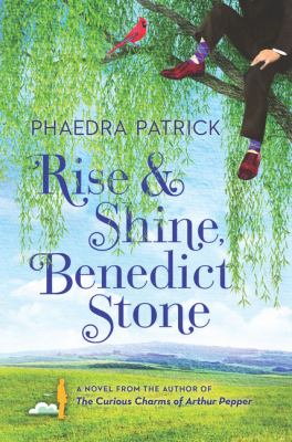 Rise & shine, Benedict Stone [large type] /