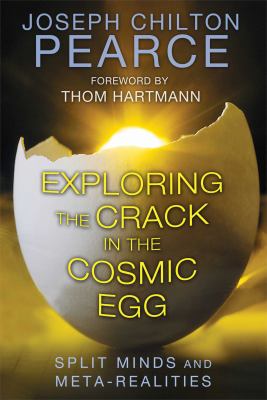 Exploring the crack in the cosmic egg : split minds and meta-realities /