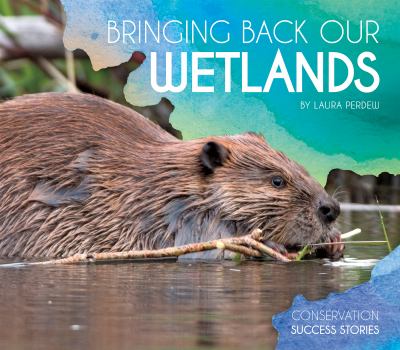 Bringing back our wetlands /