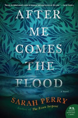 After me comes the flood : a novel /