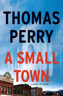 A small town : a novel /
