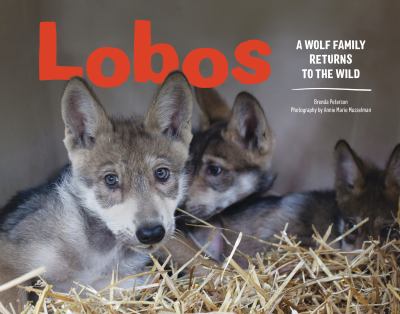 Lobos : a wolf family returns to the wild /