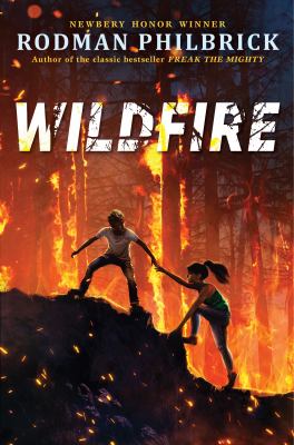 Wildfire : a novel /