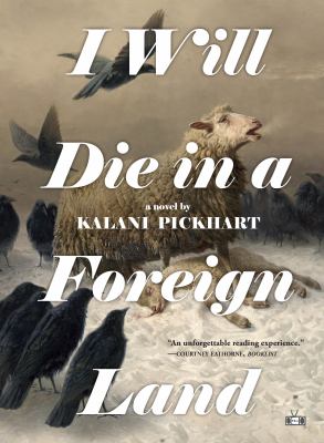 I will die in a foreign land : a novel /