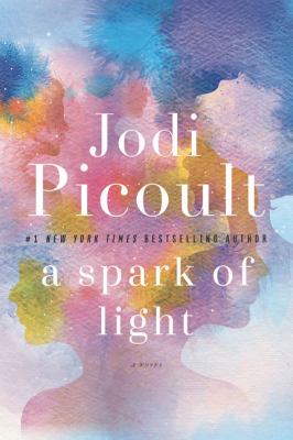 A spark of light [large type] : a novel /