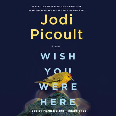 Wish you were here [compact disc, unabridged] : a novel /