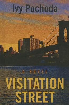 Visitation Street [large type] a novel /