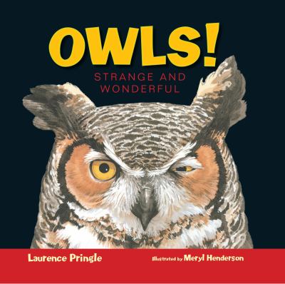 Owls! : strange and wonderful /