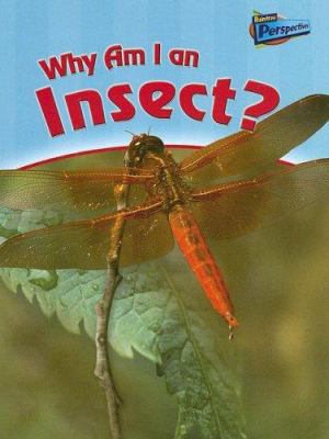 Why am I an insect? /