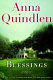 Blessings : a novel /