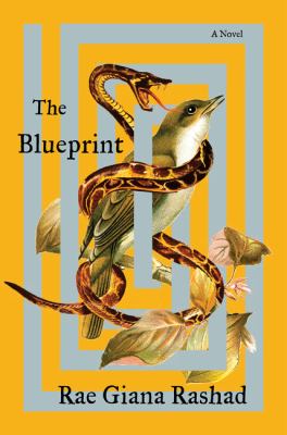 The blueprint : a novel /