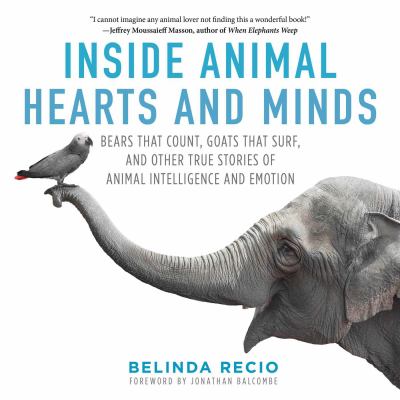 Inside animal hearts and minds : bears that count, goats that surf, and other true stories of animal intelligence and emotion /