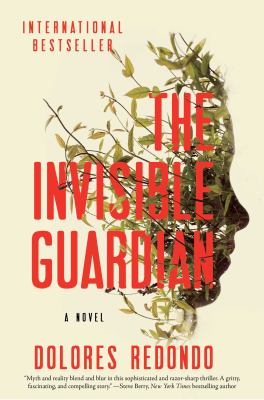 The invisible guardian : a novel /