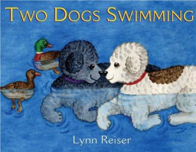 Two dogs swimming /