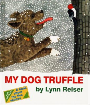 My dog Truffle /