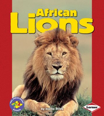 African lions /