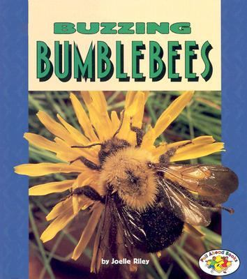 Buzzing bumblebees /