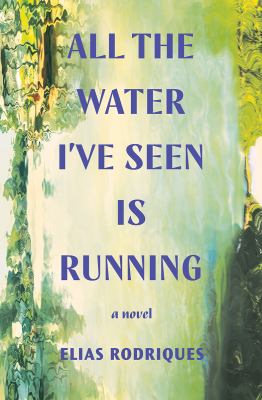 All the water I've seen is running : a novel /