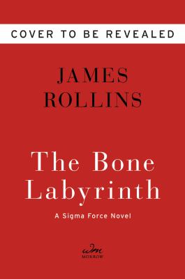 The bone labyrinth [large type] : a Sigma Force novel /