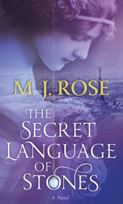 The secret language of stones [large type] : a novel /