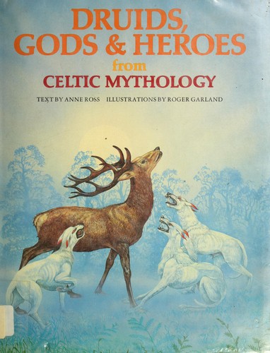 Druids, gods & heroes from Celtic mythology /