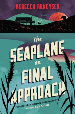 The seaplane on final approach : a novel /