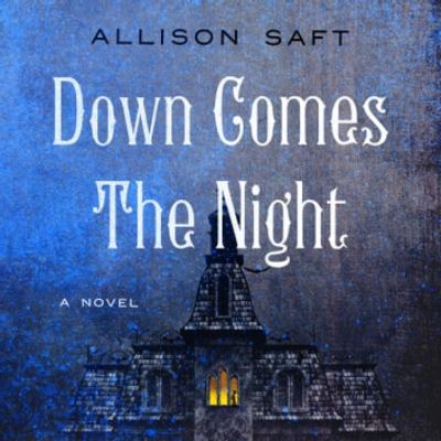 Down comes the night [eaudiobook] : A novel.