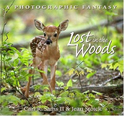 Lost in the woods : a photographic fantasy /
