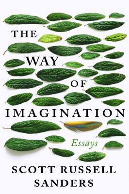 The way of imagination : essays /
