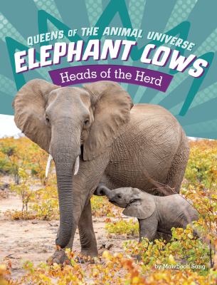 Elephant cows : heads of the herd /