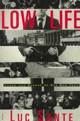 Low life : lures and snares of old New York /