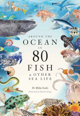 Around the ocean in 80 fish & other sea life /