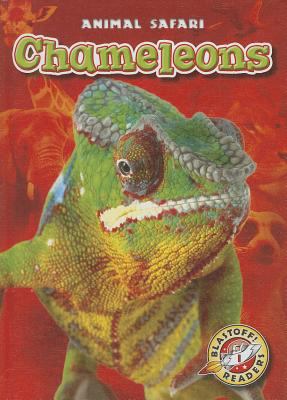 Chameleons /