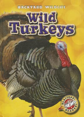 Wild turkeys /